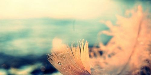 ReebecaDeras_16's profile banner image