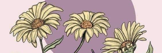 beepunzel's profile banner image