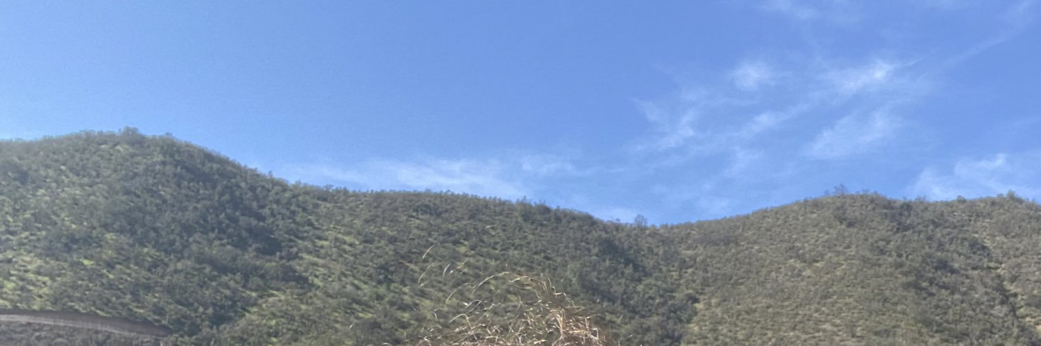 pvivero's profile banner image