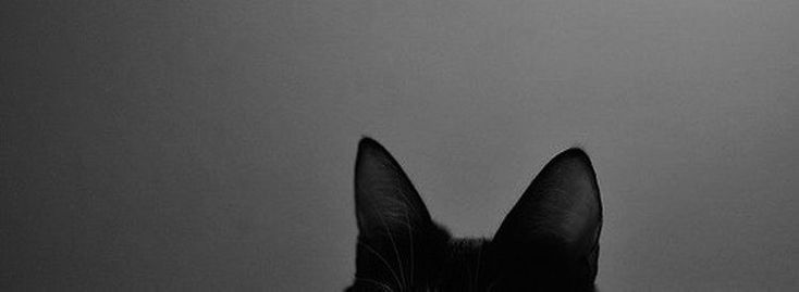 ことみ banner