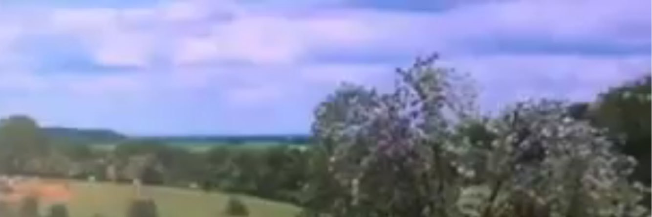 Carol Lynn Jones banner