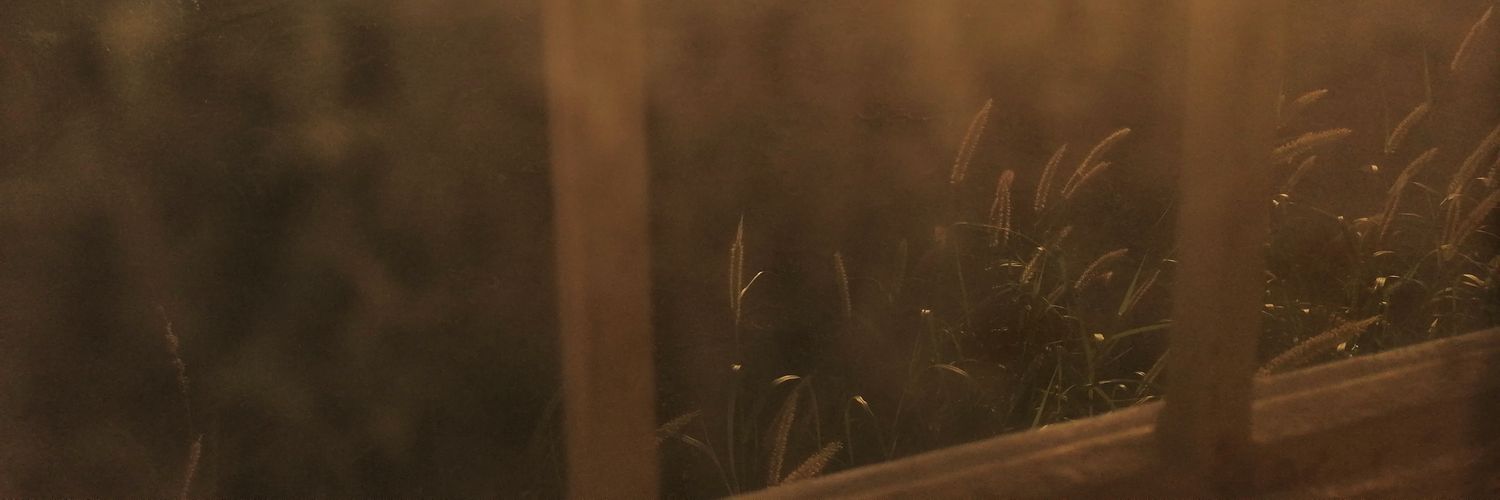 cndcarolina's profile banner image