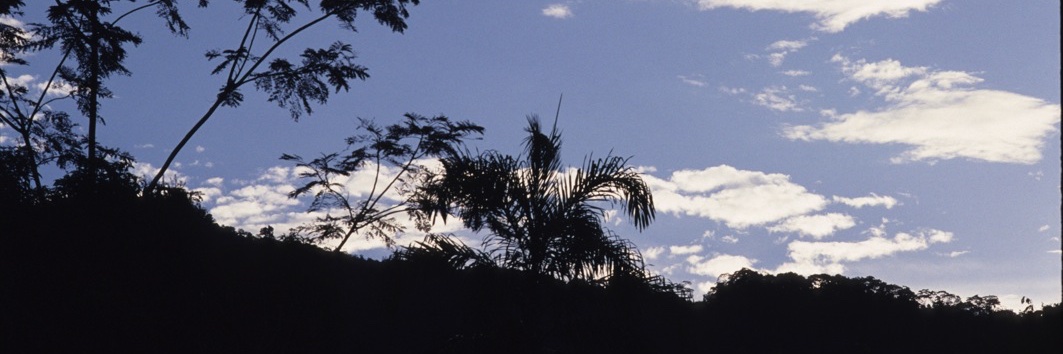 Michael FitzPatrick banner