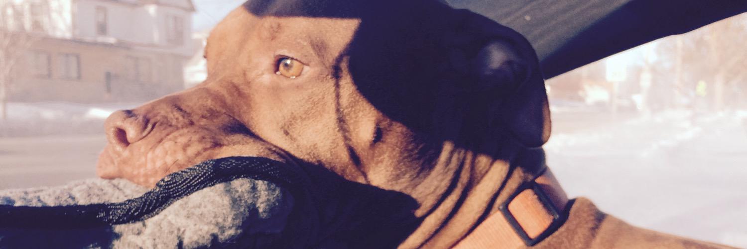 nicholeonnen's profile banner image