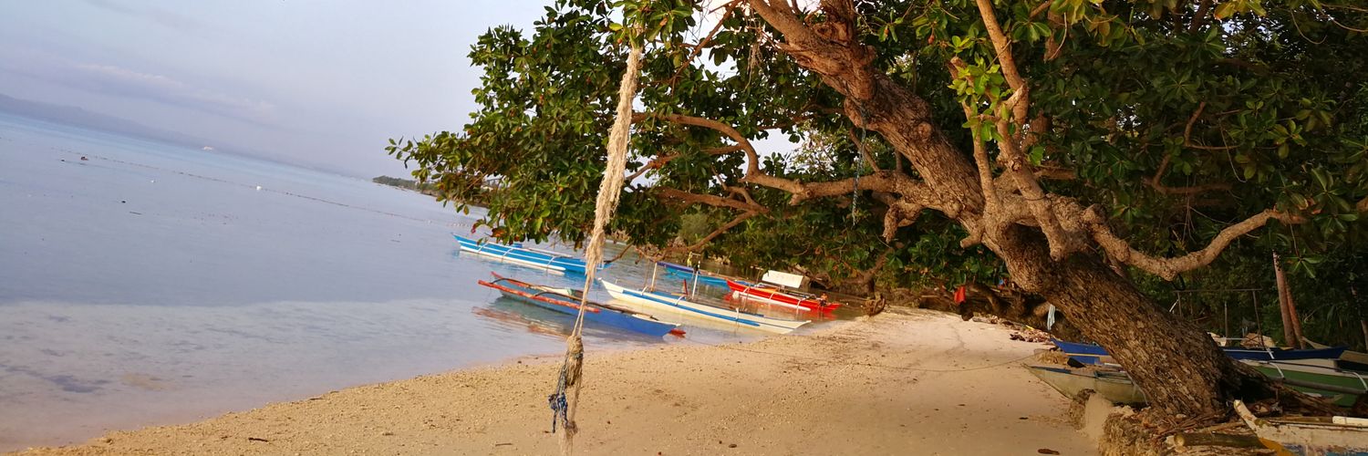 LuanaLushu's profile banner image