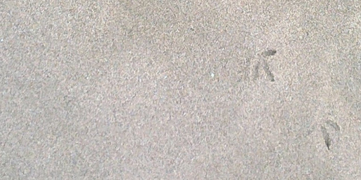 tinelers16's profile banner image