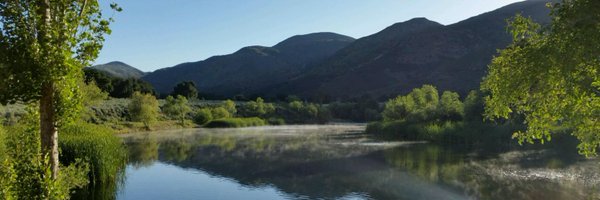 frog129 Profile Banner