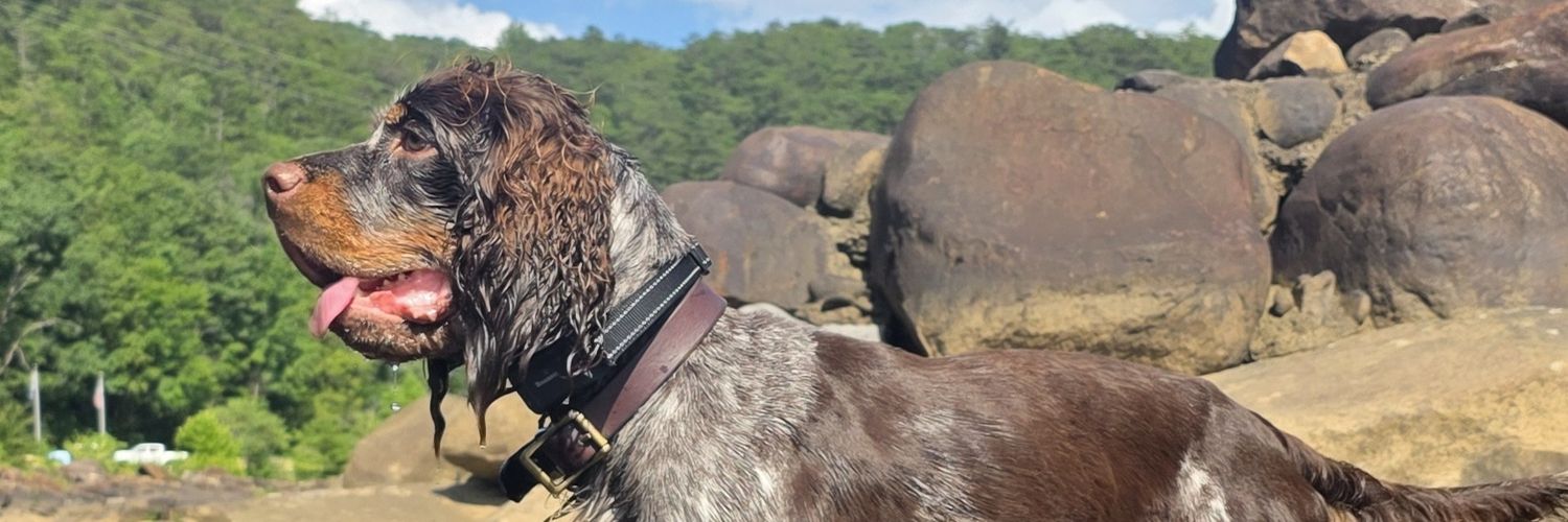 JasonShort's profile banner image