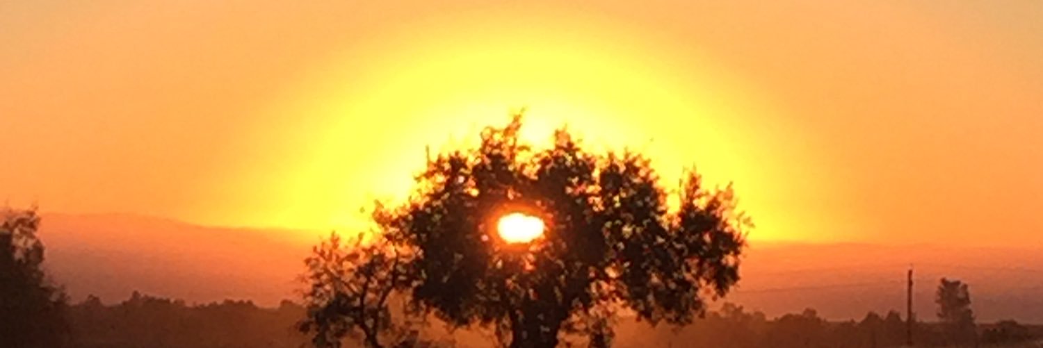 StarfireGypsy's profile banner image