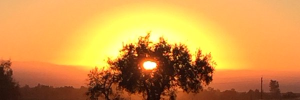 StarfireGypsy Profile Banner