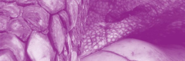 Vetsci_MDPI Profile Banner