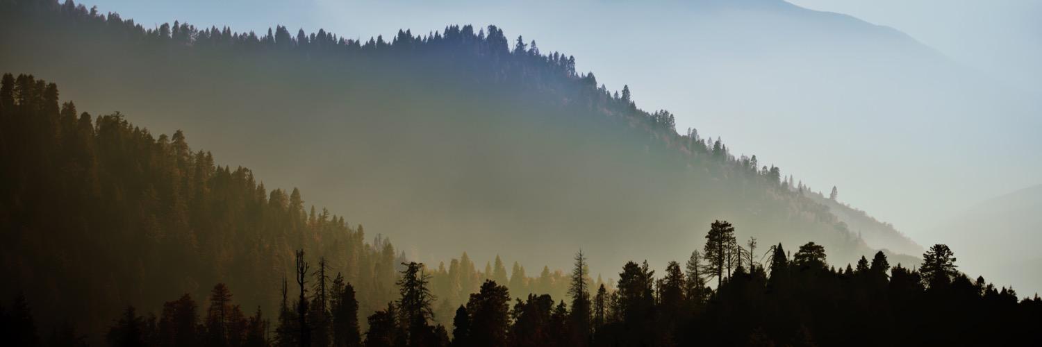 Green_Bean20's profile banner image