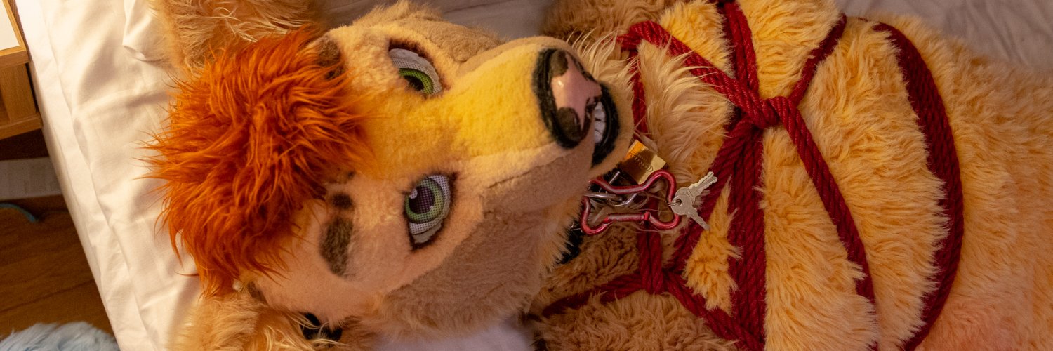 Bondage canine :X banner