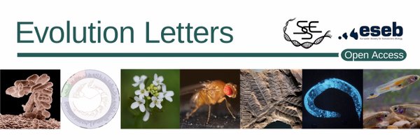 EvolLetters Profile Banner