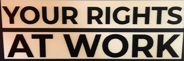 TigerBlacklow's profile banner image
