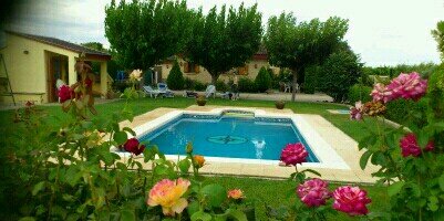 david_pascu95's profile banner image