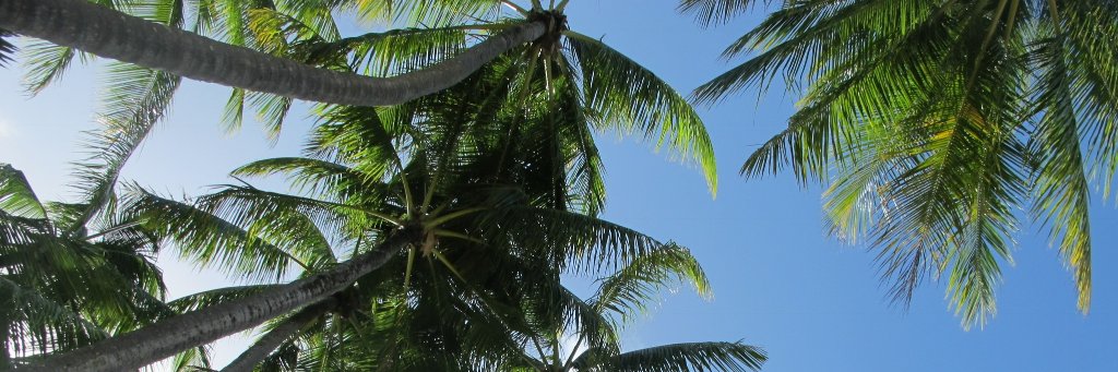 Michelle Jensen banner