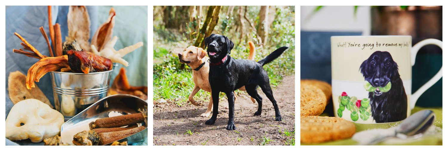 Distinctive Pets - home of Muddy Dog Day banner