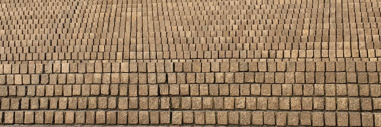 Katerina Vojtechova banner