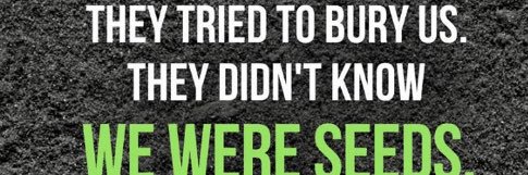 Daniel Briones banner