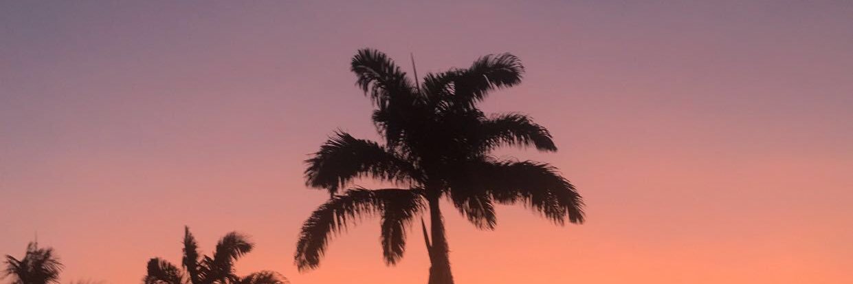 arademm_'s profile banner image