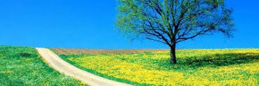 chey. banner