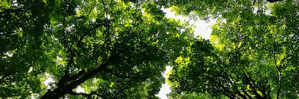 keepingcreative Profile Banner