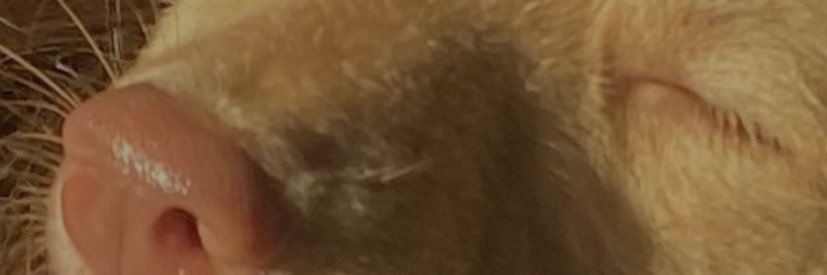 OmegaAskiah's profile banner image