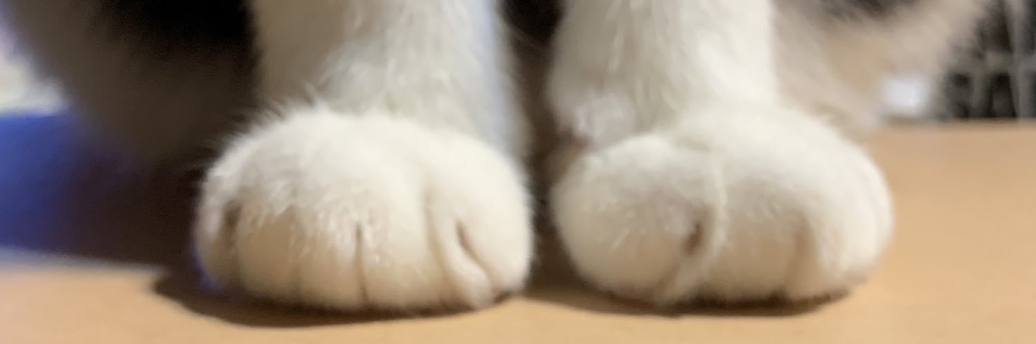 nren119's profile banner image
