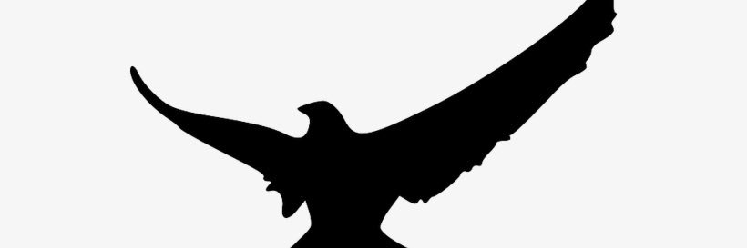 Lilone1776's profile banner image