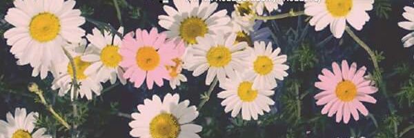 Debora2_'s profile banner image
