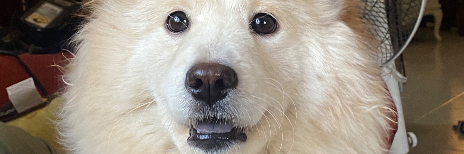 kthryncpt's profile banner image