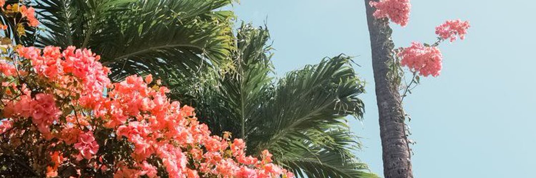 haileyyevanss's profile banner image