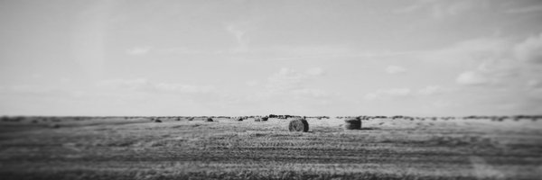 falsevalues Profile Banner