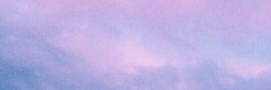 Giulia Scatena banner