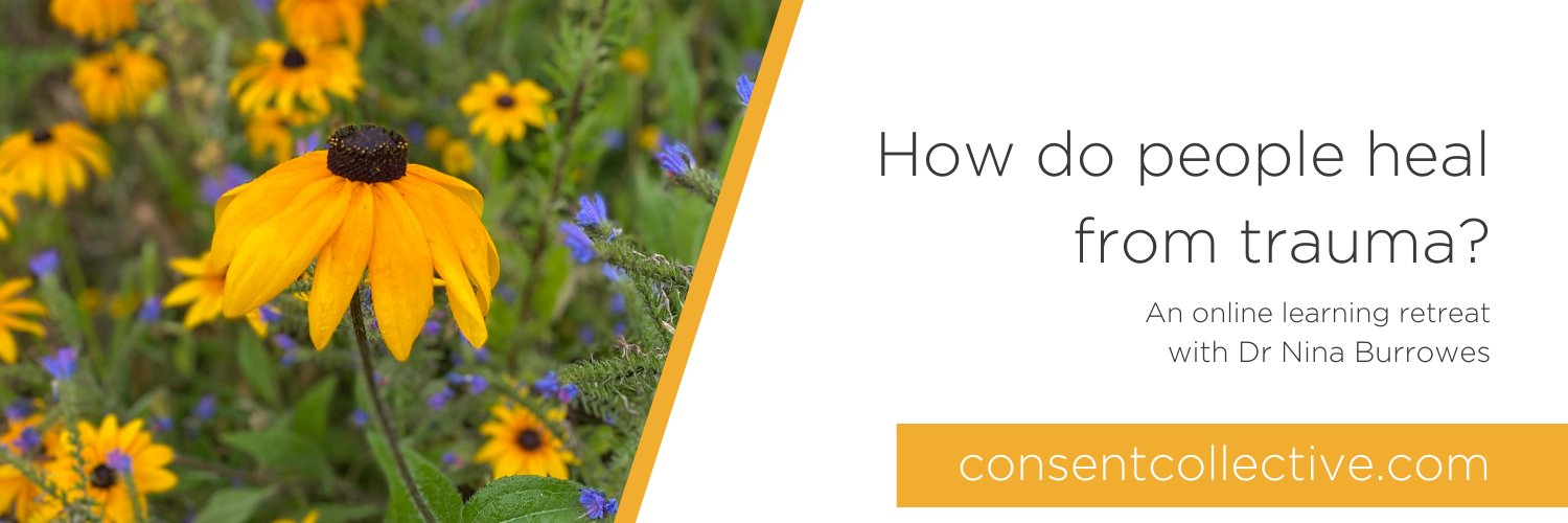 The Consent Collective banner