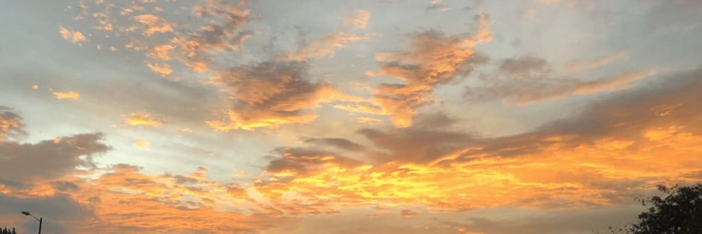 Angela Castillo banner