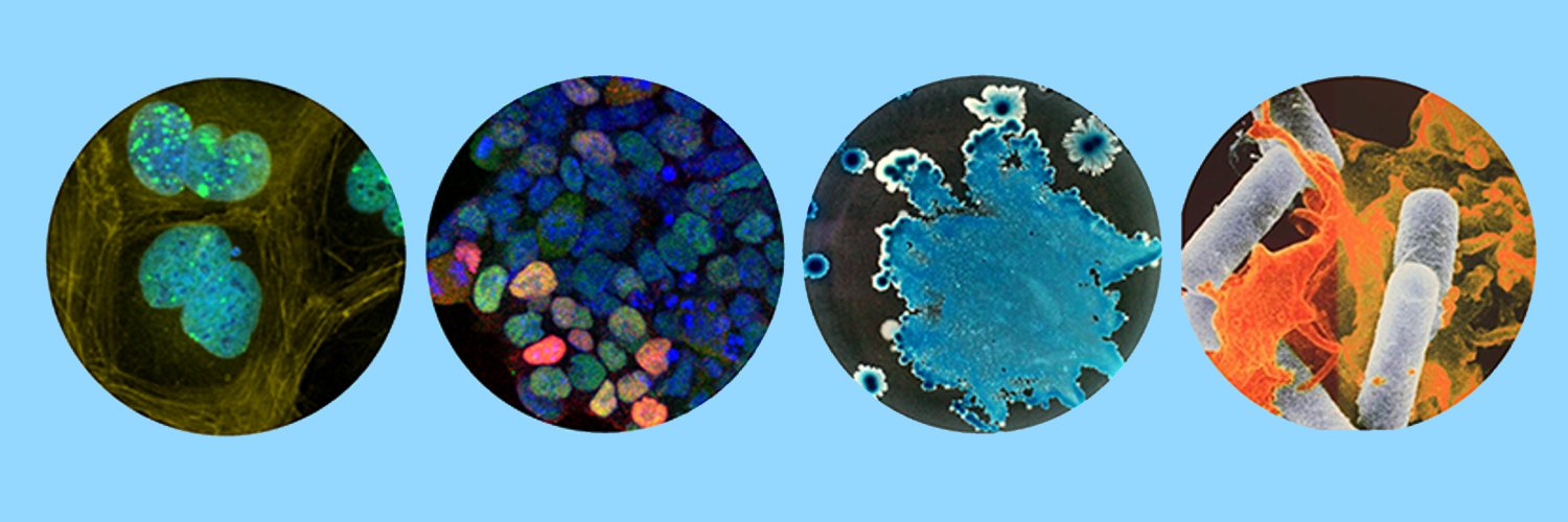 CPH Bioscience PhD banner