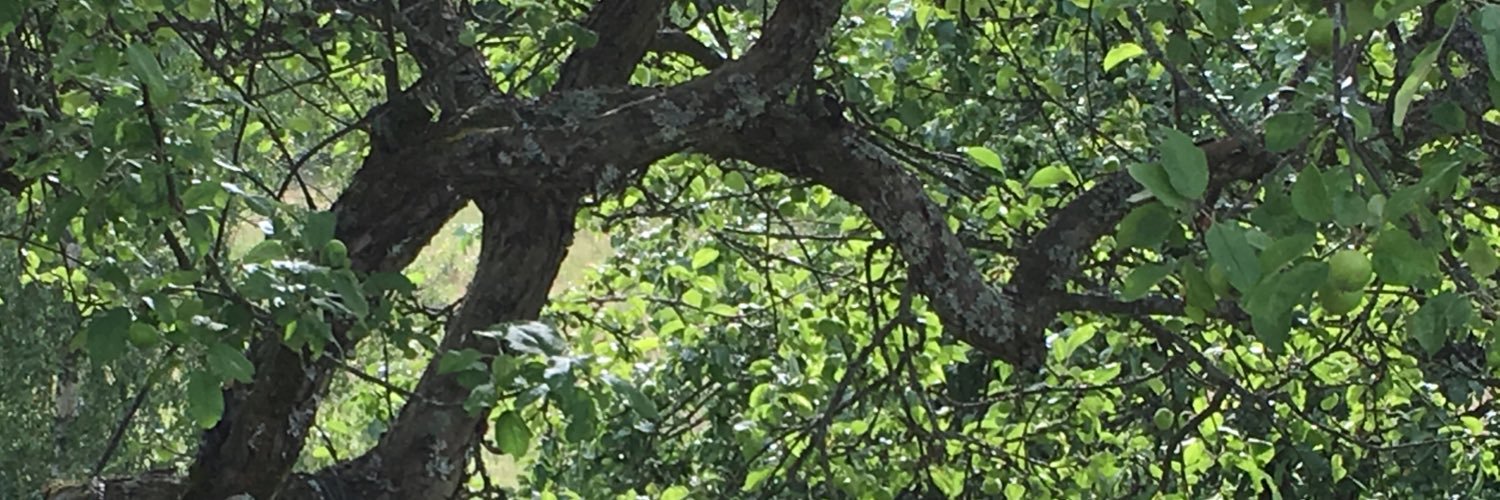 AktanCollan's profile banner image