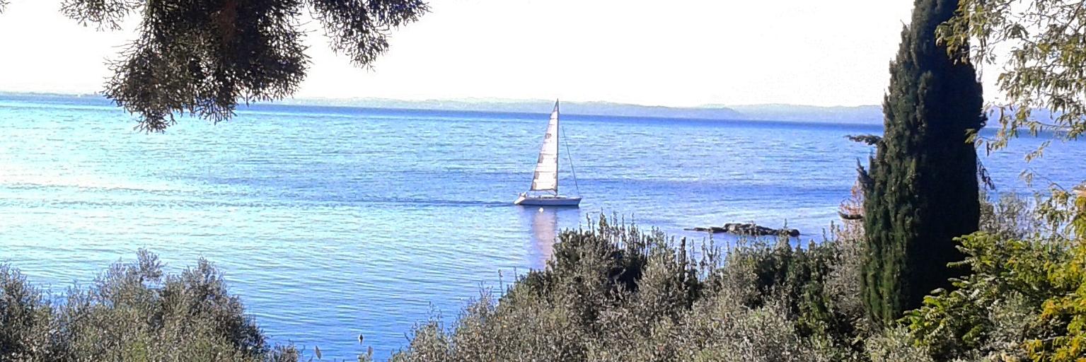 MorandiniMarco's profile banner image