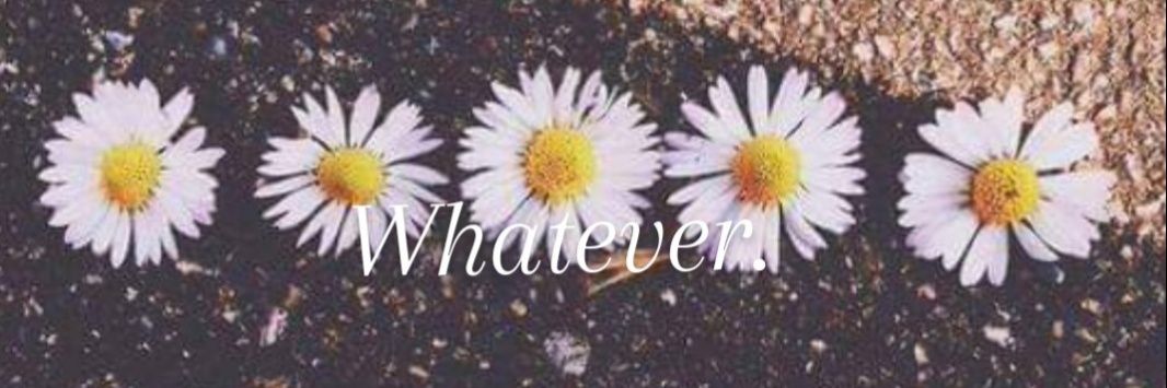 riribee1994's profile banner image