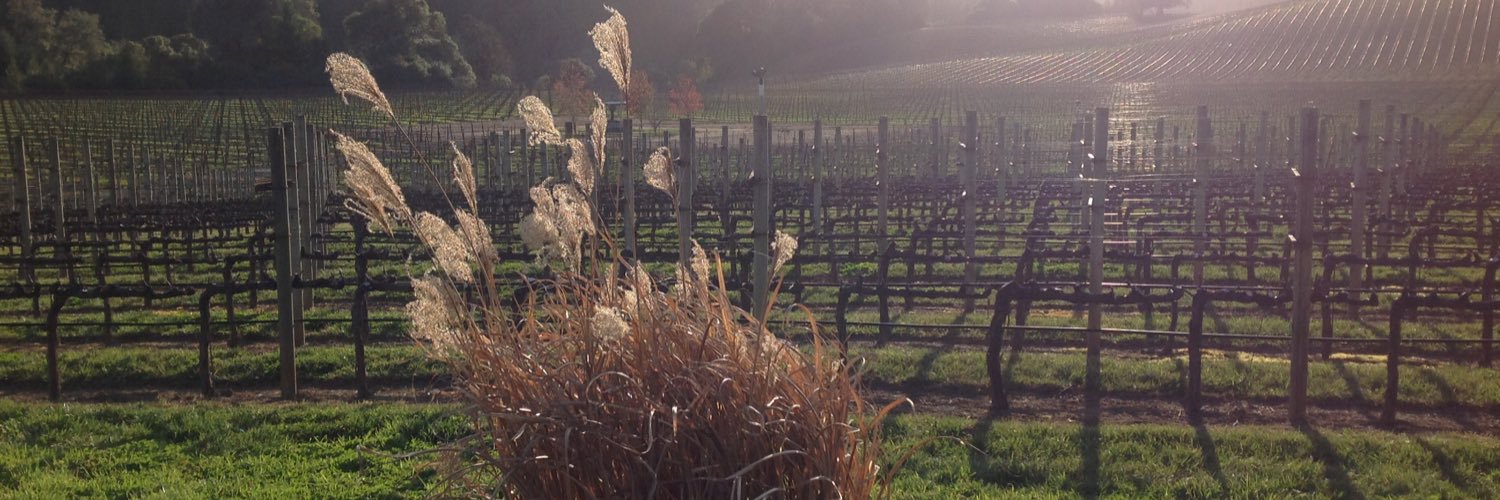 Olga Ioffe 🇺🇦 banner