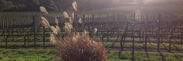 oioffe Profile Banner