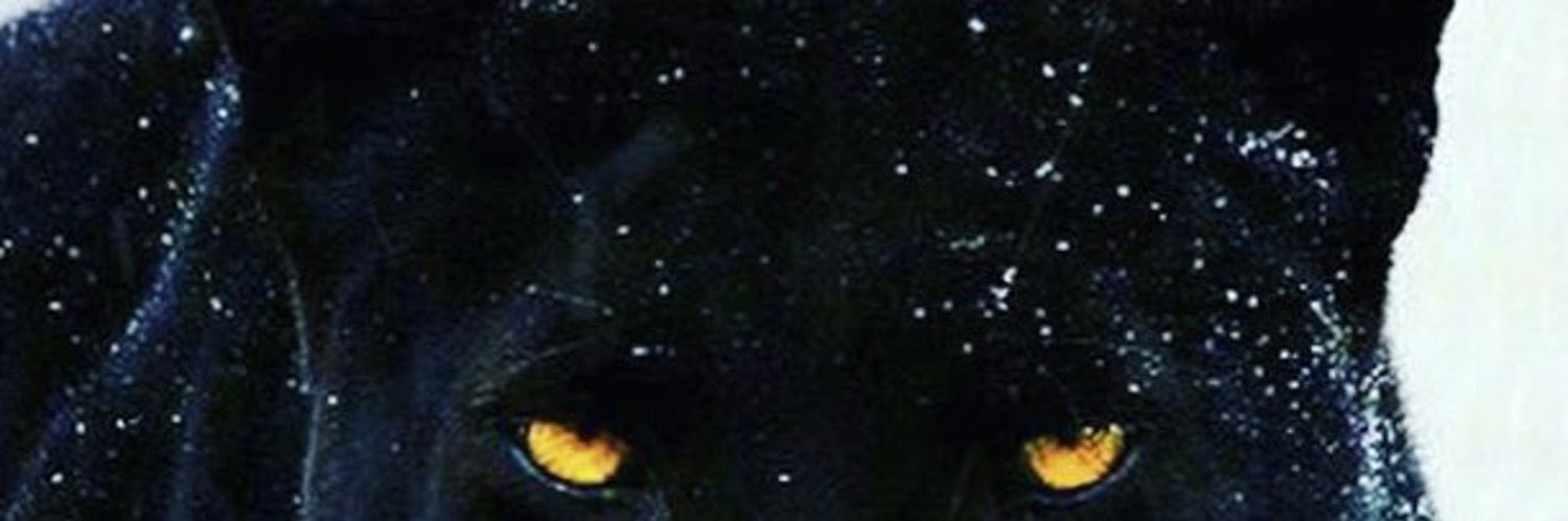 Dr. Andrew C. Green banner