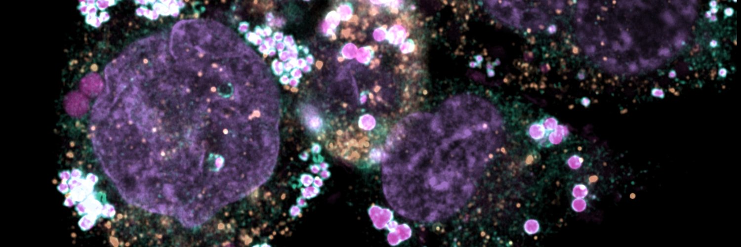 Sabrina Robichaud👩🏻‍🔬's banner