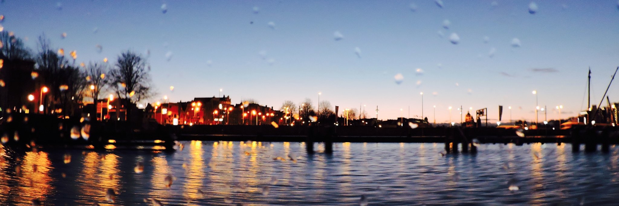 olearycal's profile banner image