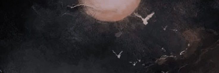 bl0msters's profile banner image