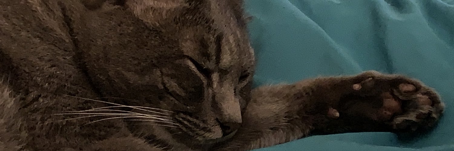 joinmycult's profile banner image