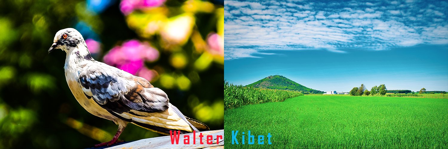 𝐊𝐢𝐛𝐞𝐭 banner