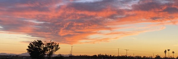 1TEAMPHOENIX Profile Banner
